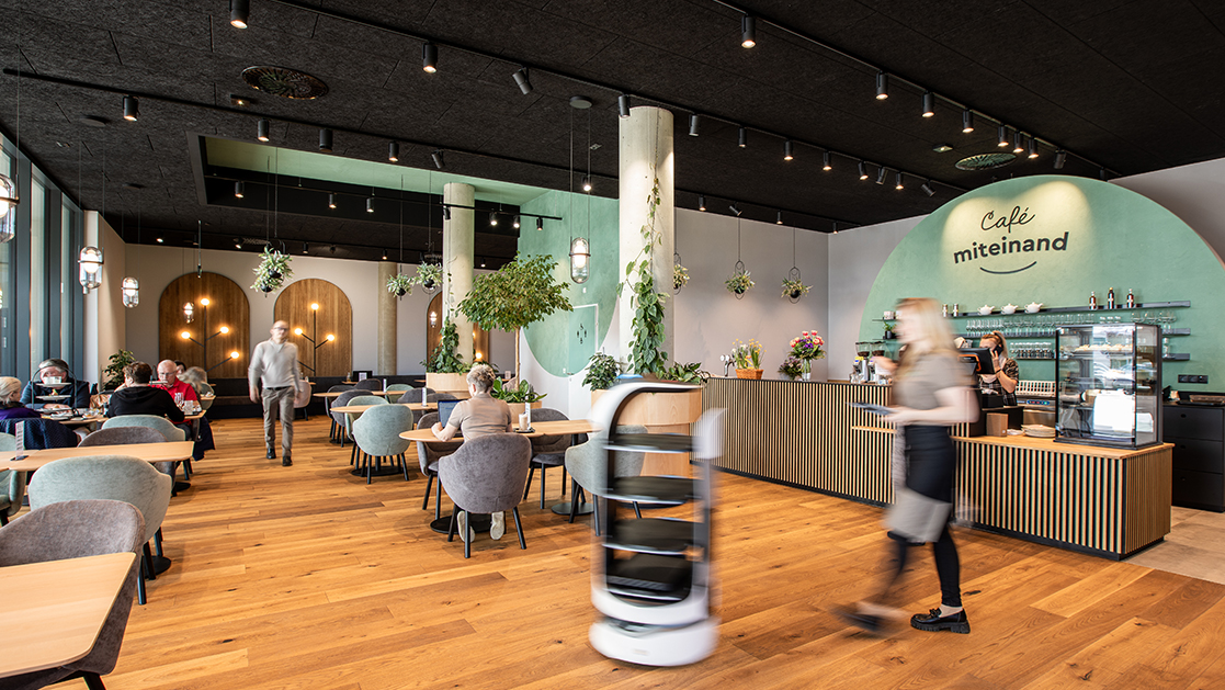 Blick ins Café miteinand: grüne Farbe an der Wand. Im Raum hängen Zimmerpflanzen von der Decke und Holzelemente schaffen ein gemütliches Ambiente.